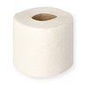 Toilettenpapier Tissue 64 Rollen WC-Papier 2-lagig  250 Blatt/Rolle 